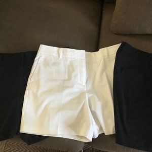 Ann Taylor Shorts